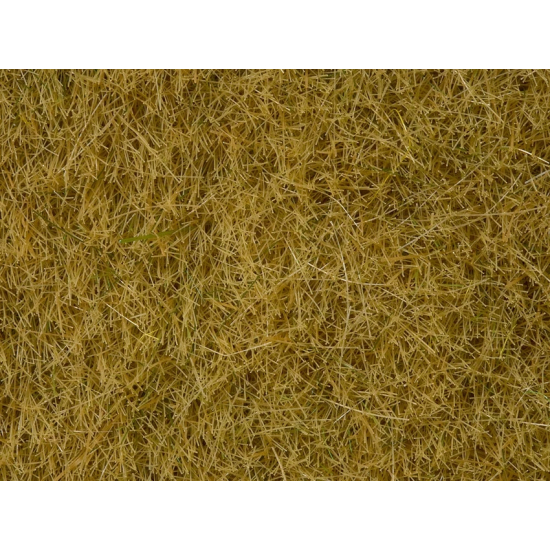 Noch 07101 , Zestaw dzikiej trawy - Beżowa , 6mm/50g
